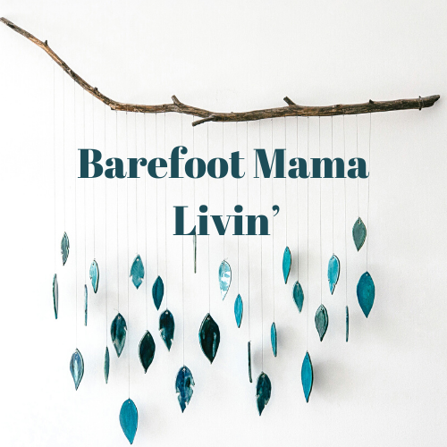 Barefoot Mama Writes